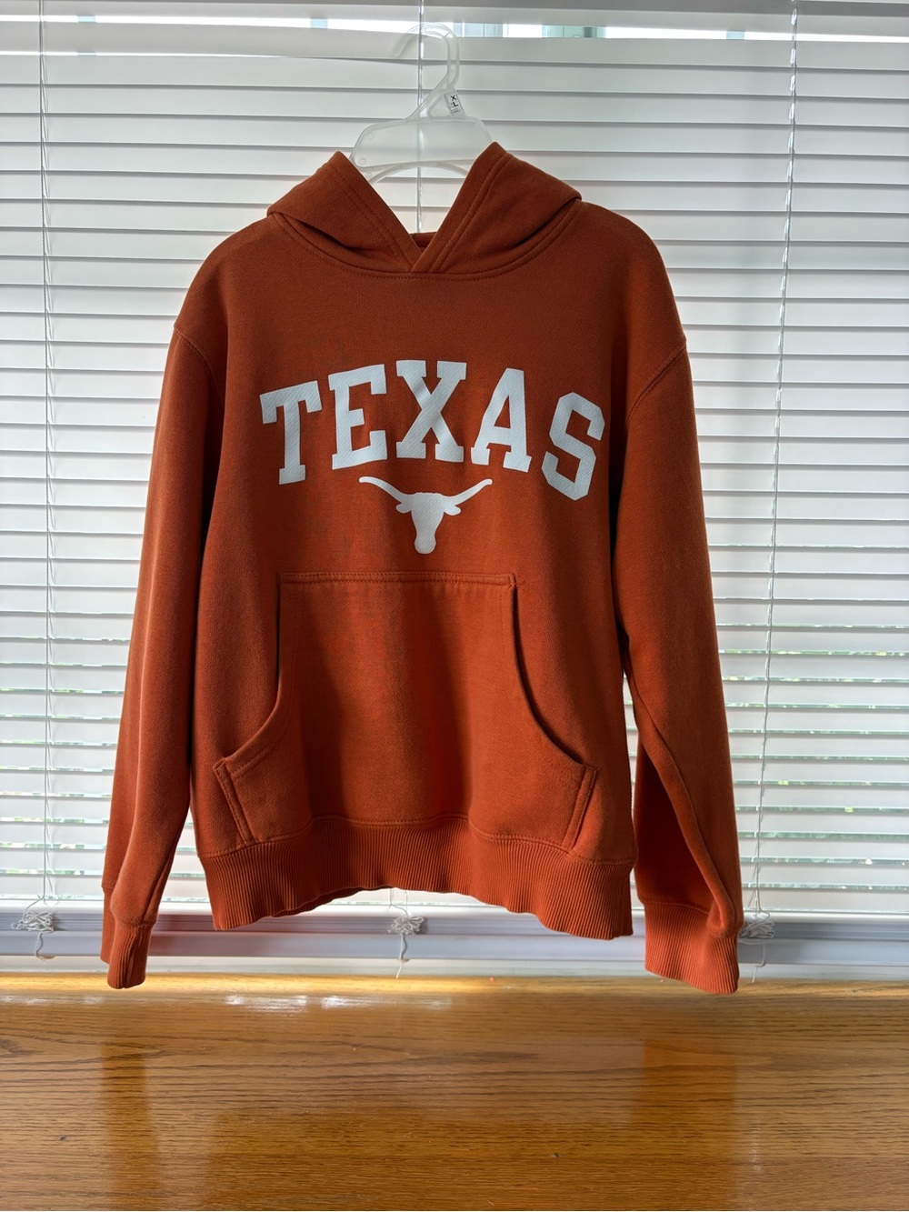 Kids Texas Logo Hooded Sweatshirt in Burnt Orange